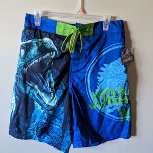 Men's Jurassic world swim shorts